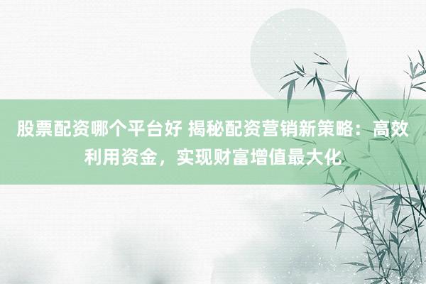股票配资哪个平台好 揭秘配资营销新策略：高效利用资金，实现财富增值最大化