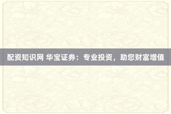 配资知识网 华宝证券：专业投资，助您财富增值