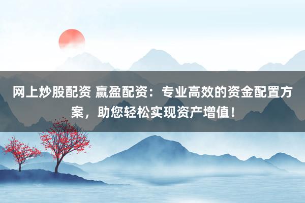 网上炒股配资 赢盈配资：专业高效的资金配置方案，助您轻松实现资产增值！