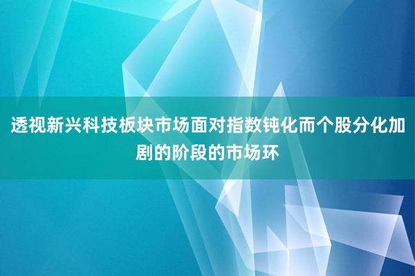 透视新兴科技板块市场面对指数钝化而个股分化加剧的阶段的市场环